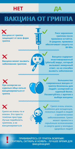вакцина_от_гриппа.png вакцина_от_гриппа.png